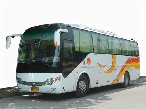 國(guó)慶租車首選泰州中航租車，專業(yè)服務(wù)助力便捷出行